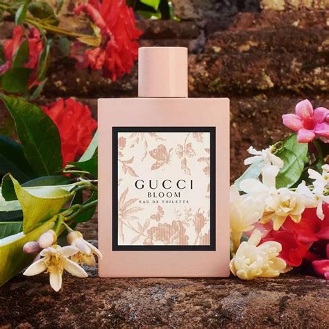 new gucci bloom 2022|where to buy gucci bloom.